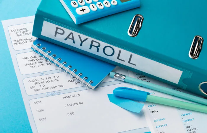 Payroll Outsource & Consultancy Services in Turkey